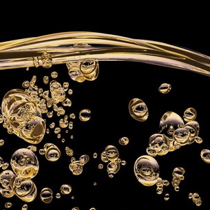 The pardon | von Autor Slave Champaign | Bizarrstudio Elegance Blog The pardon | von Autor Slave Champaign | Bizarrstudio Elegance Blog