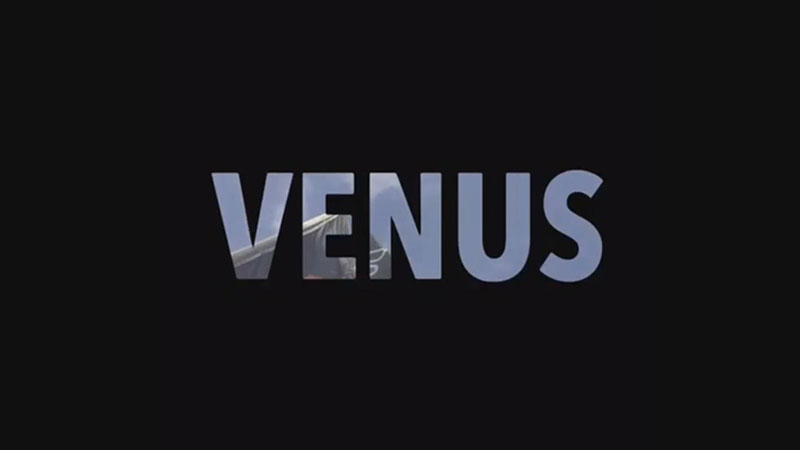 Studio Elegance - Kinky Venus 2017 - exhibition presentation - Vol. 3